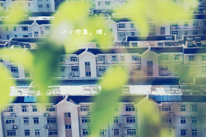 照片 071_副本1_副本.jpg