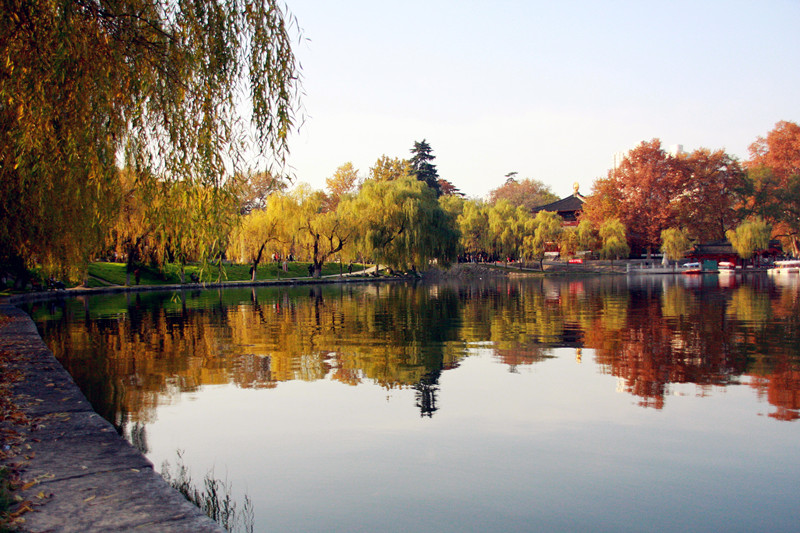 照片 064_副本_副本.jpg