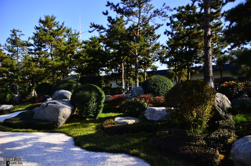 DSC_0193.JPG