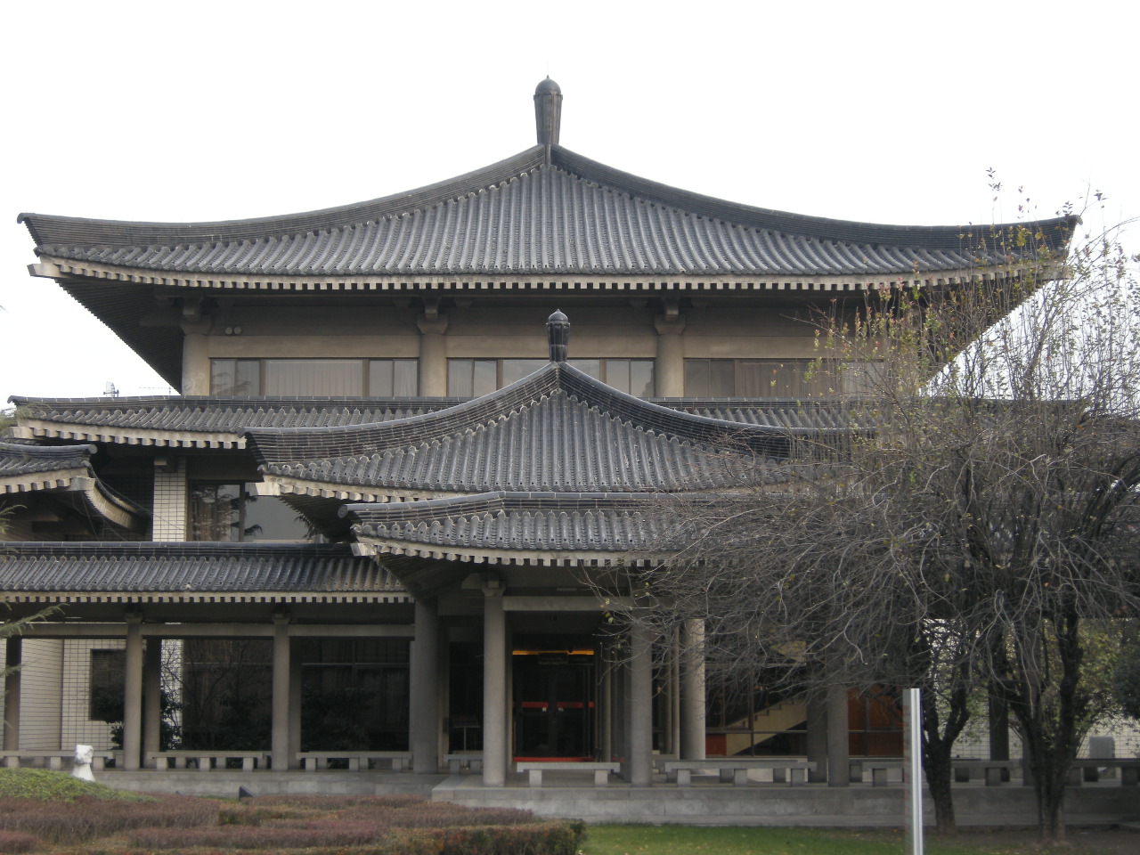 DSCN7361.JPG