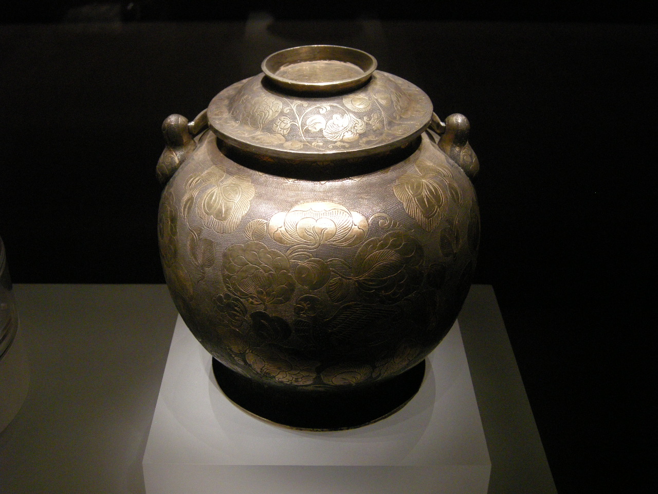 DSCN7293.JPG