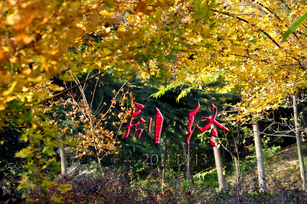 DSC_0354.JPG
