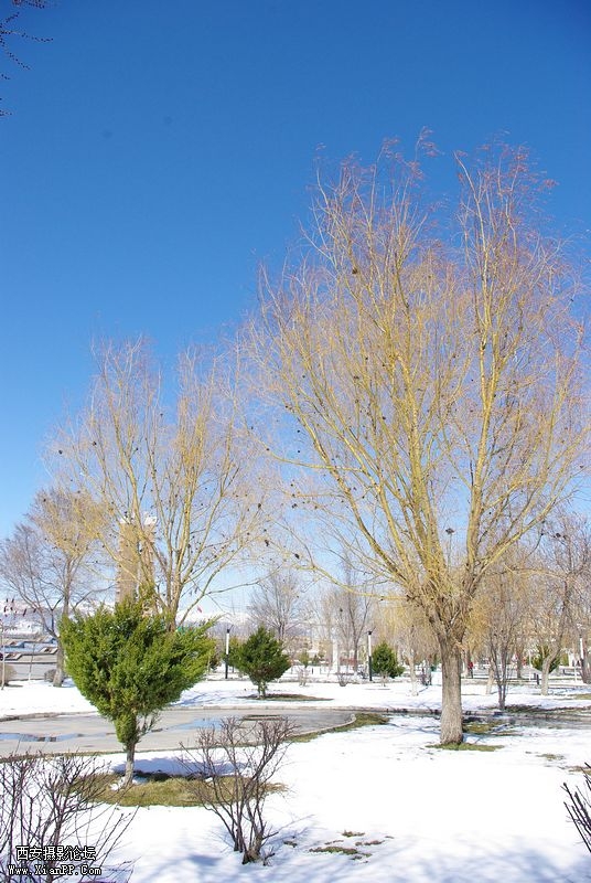 IMGP3854.jpg