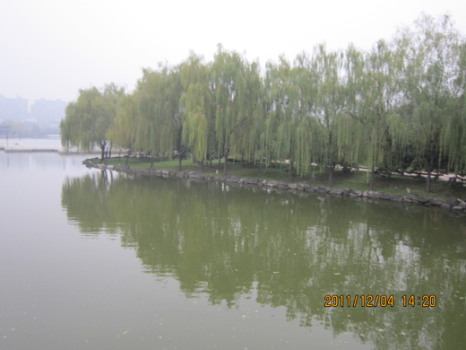 个_1750.jpg