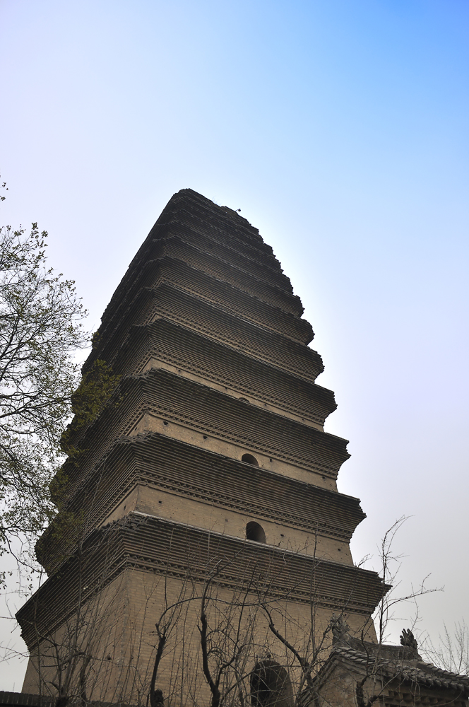 _DSC0228副本.jpg