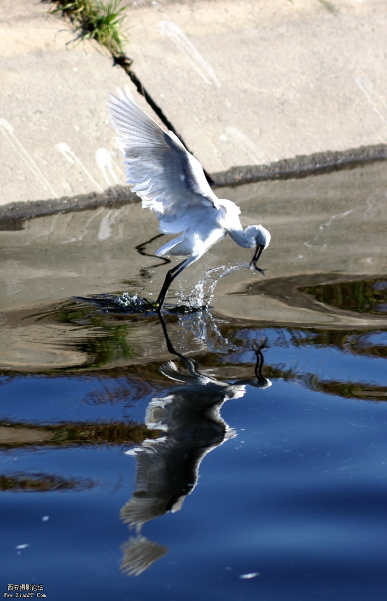 IMG_0866bb.jpg