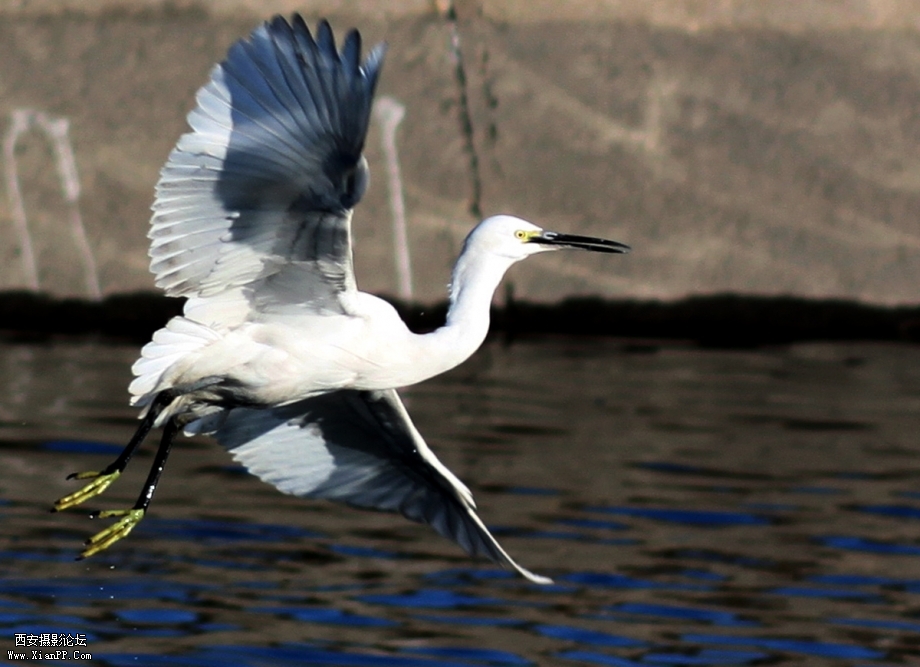 IMG_0912dd.jpg