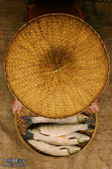 100517hbybygwglayluhzy.jpg