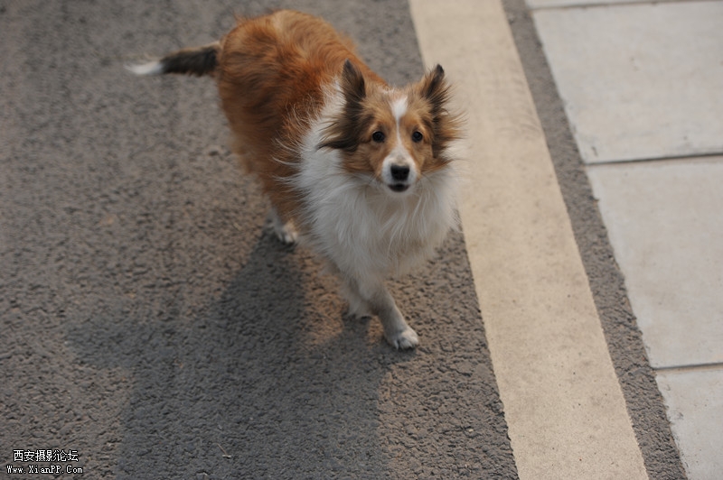 DSC_2126_副本.jpg
