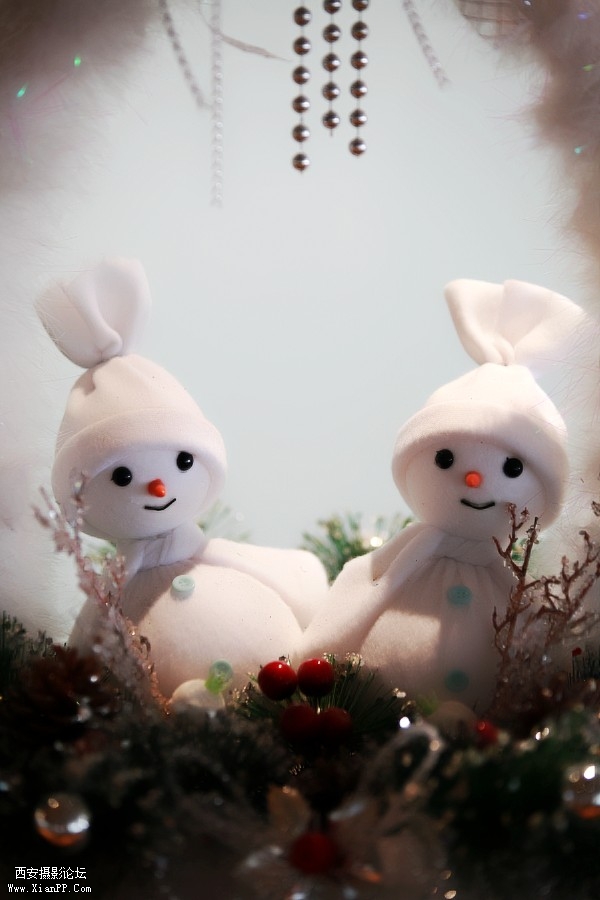 conew_img_1260.jpg