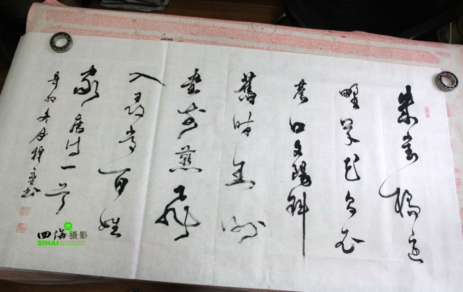 照片 498.jpg