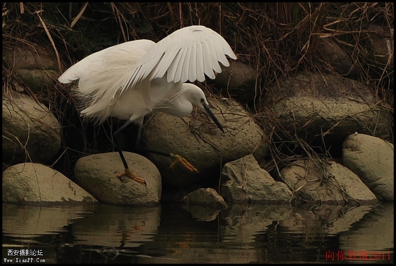 conew_dsc_0027_副本.jpg