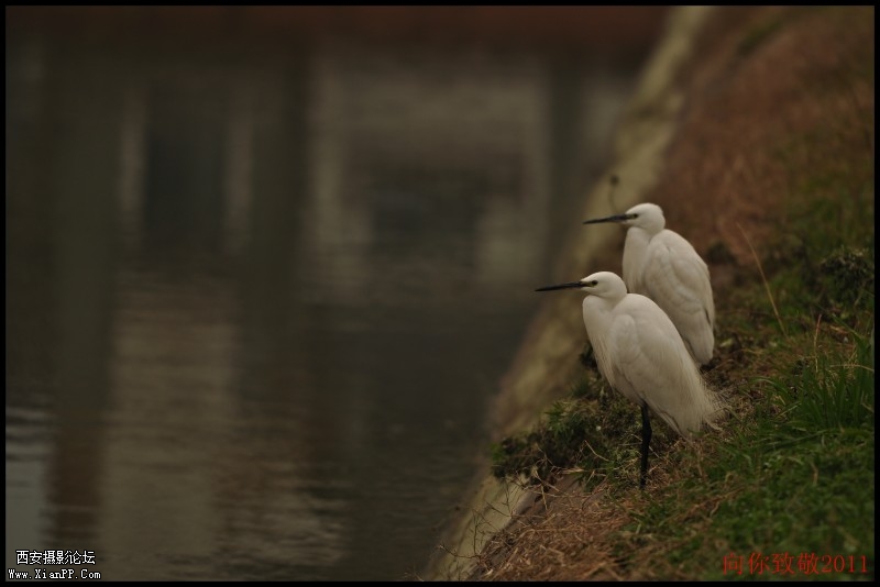 conew_dsc_0035.jpg