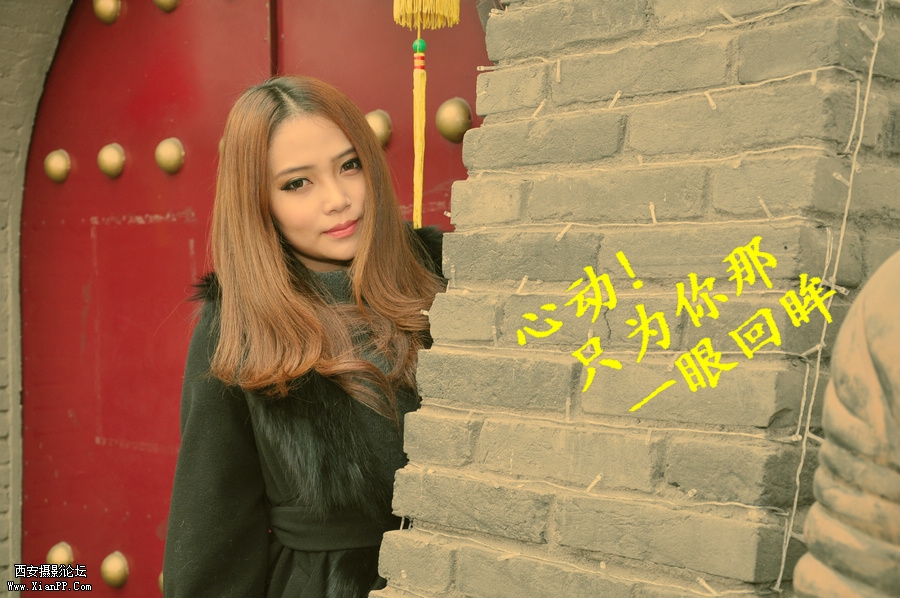 DSC_8278a.jpg