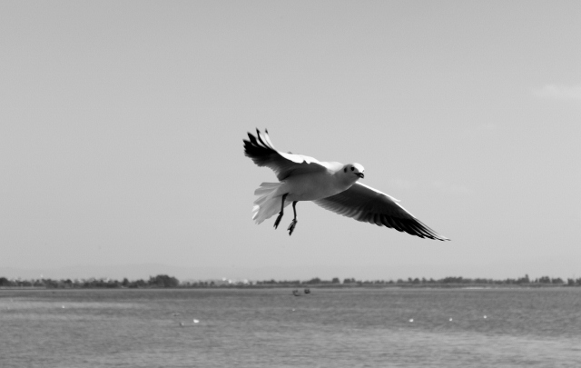 IMG_0069 (640x405).jpg