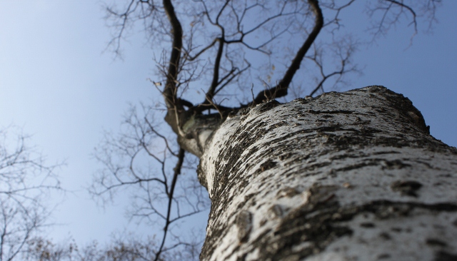 IMG_0079 (640x366).jpg