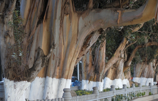 IMG_0396 (640x409).jpg