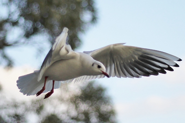 IMG_0427 (640x427).jpg