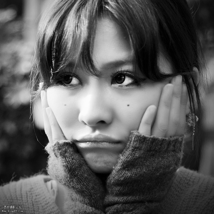 DSC_0415.jpg