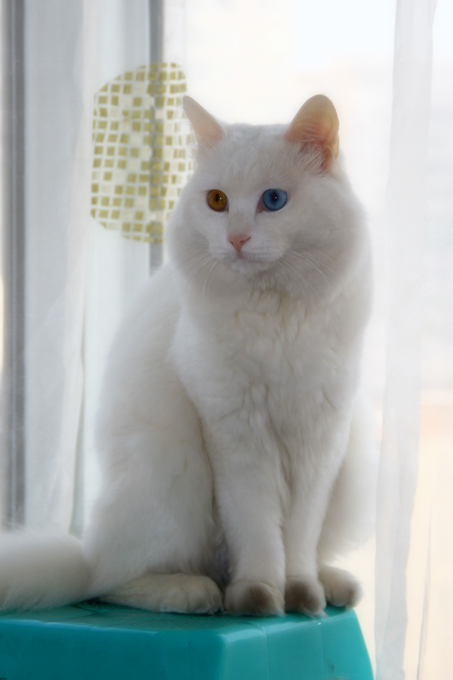 太平峪风景 025.jpg