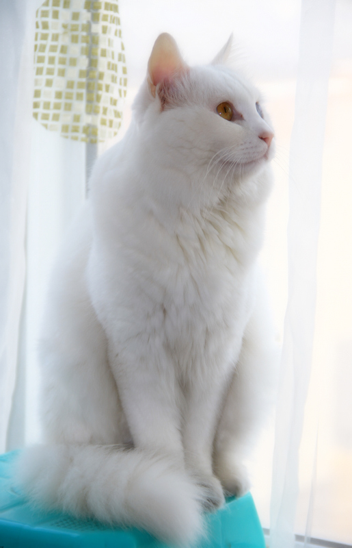 太平峪风景 026.jpg