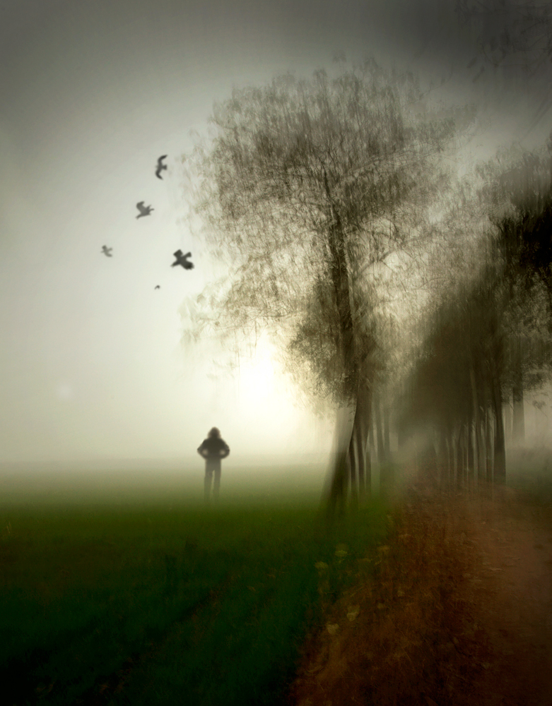 拍摄是瞬间摇晃相机，树就是那样子啦，人是多重曝光。