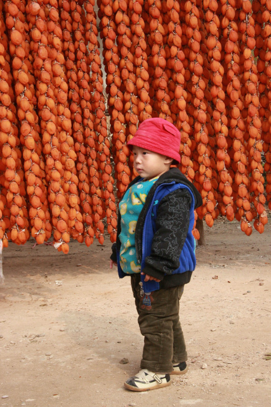 陕西富平柿子之乡拍柿饼 .1.jpg