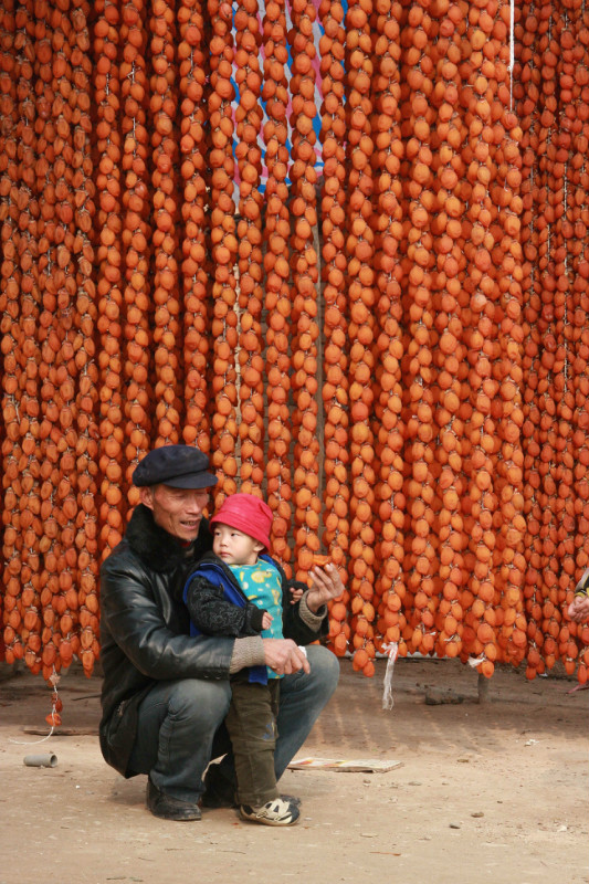 陕西富平柿子之乡拍柿饼 .5.jpg