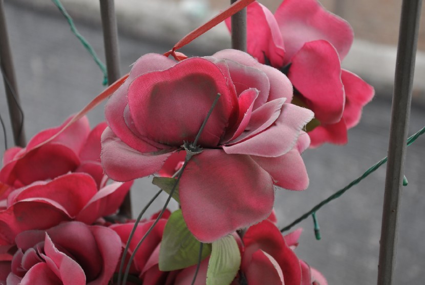 假花.jpg