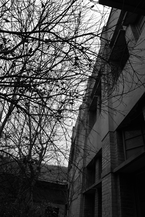 DSC_0736.jpg