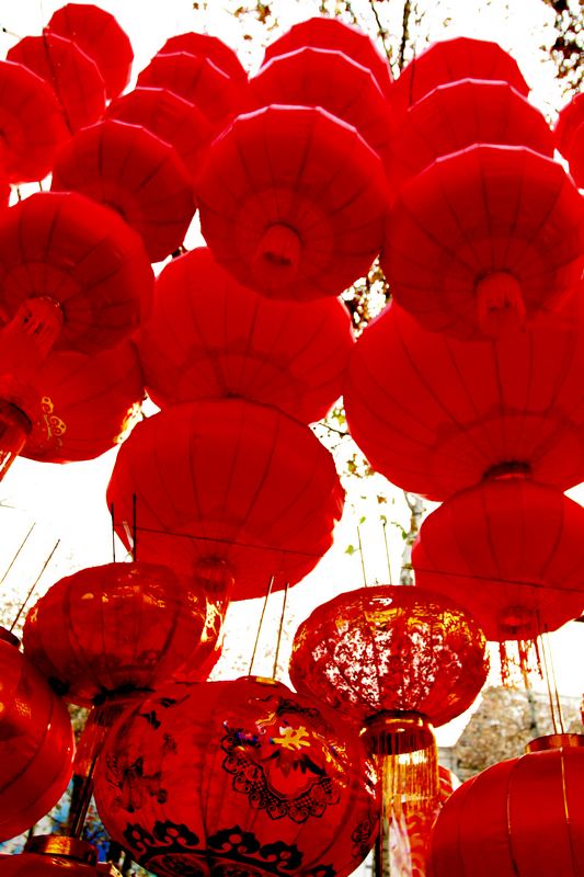 _MG_3351.jpg