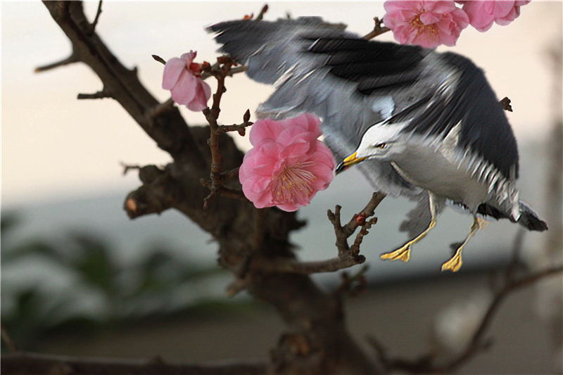 891 291_副本_副本.jpg