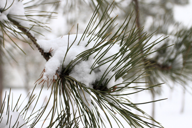 曲江雪景 148.jpg