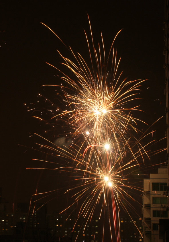 DSC06729.jpg