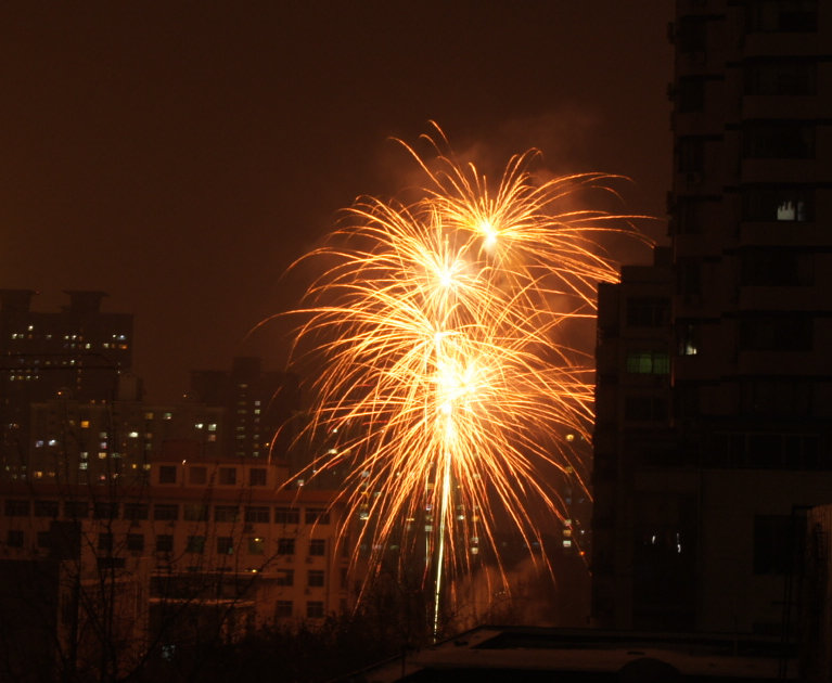 DSC06754.jpg