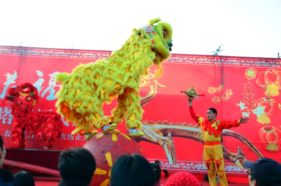 _DSC0304.JPG