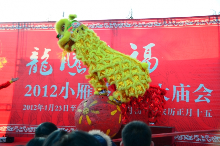 _DSC0306.JPG