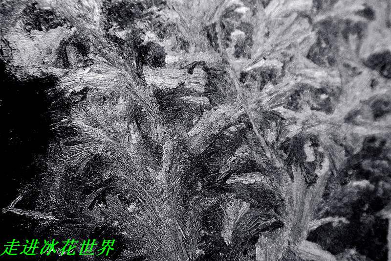 _MG_3503.jpg