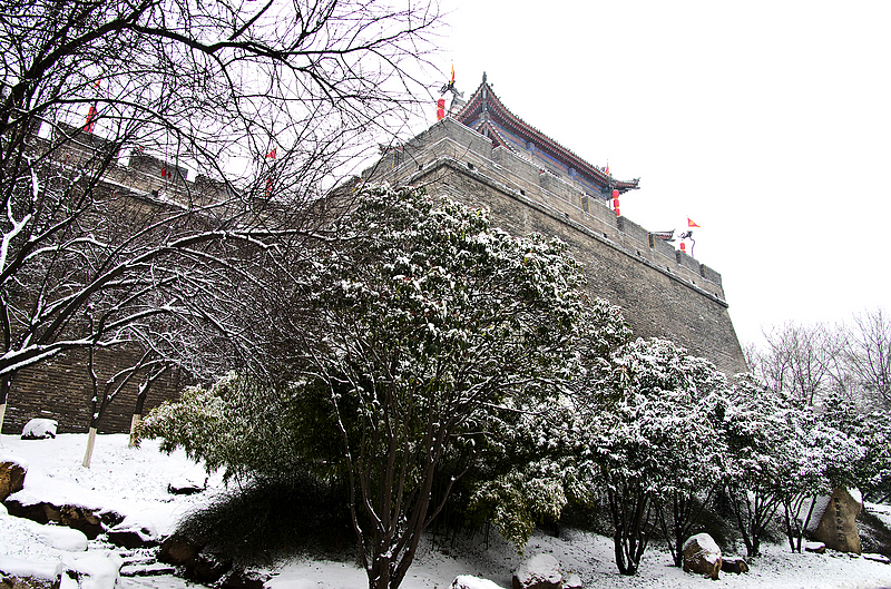 _IGP0844.jpg