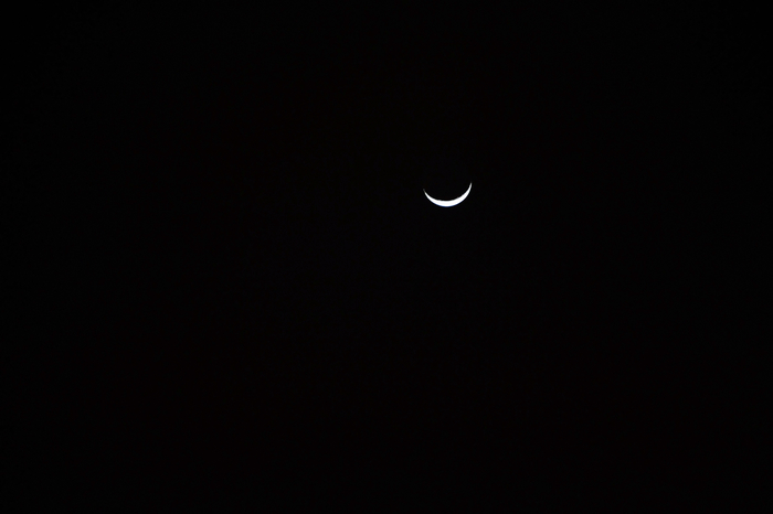 DSC_1894.jpg