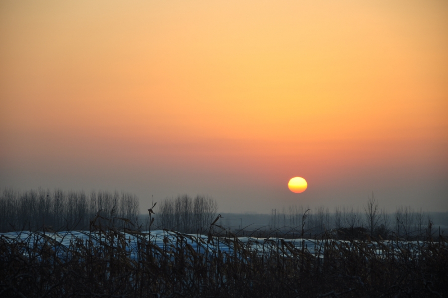 DSC_0193.jpg