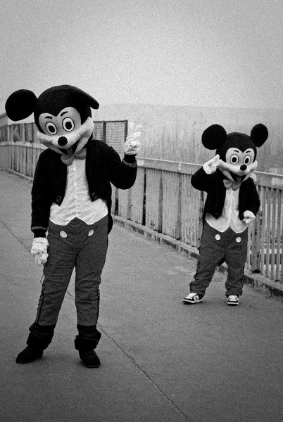 2291191.jpg