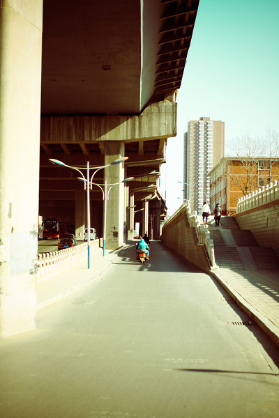 2304541.jpg