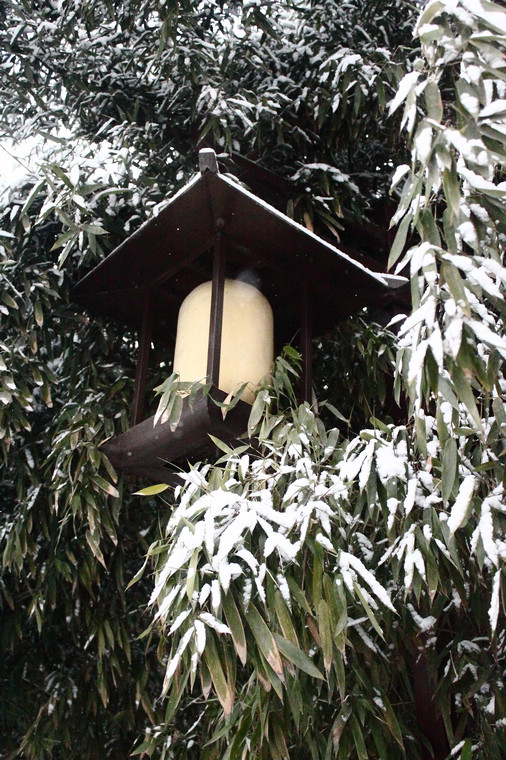 竹雪灯雾