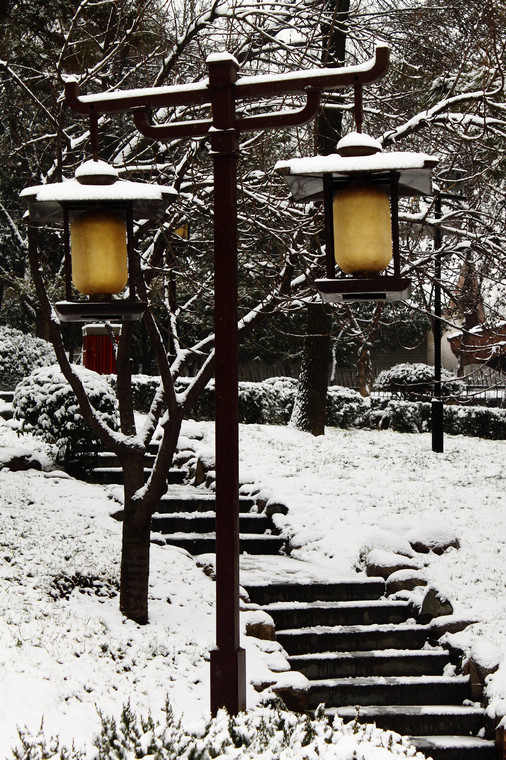 长明灯下的前行