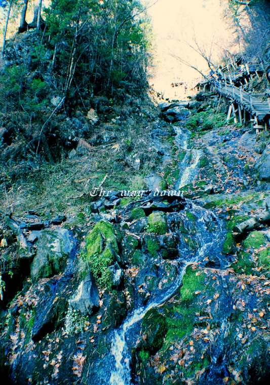 下山路3.jpg
