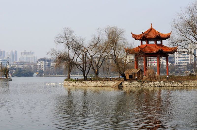 _DSC0335 复制.jpg