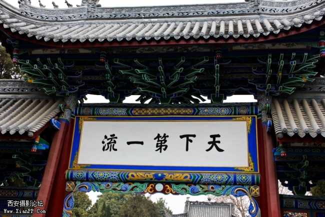 15545536j0i4dwqjw3j9gw.jpg