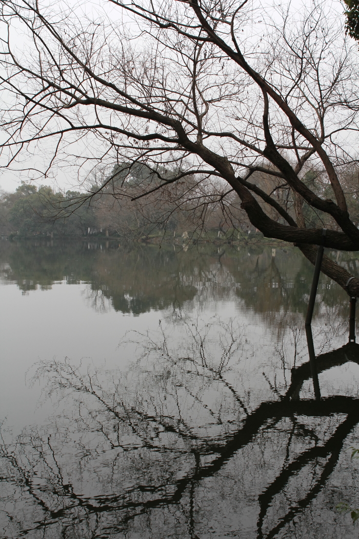 静静的西湖0001.JPG