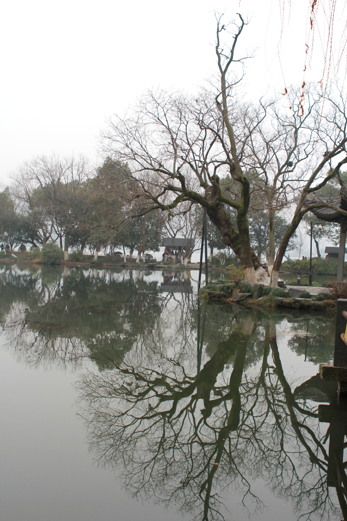 静静的西湖0008.JPG